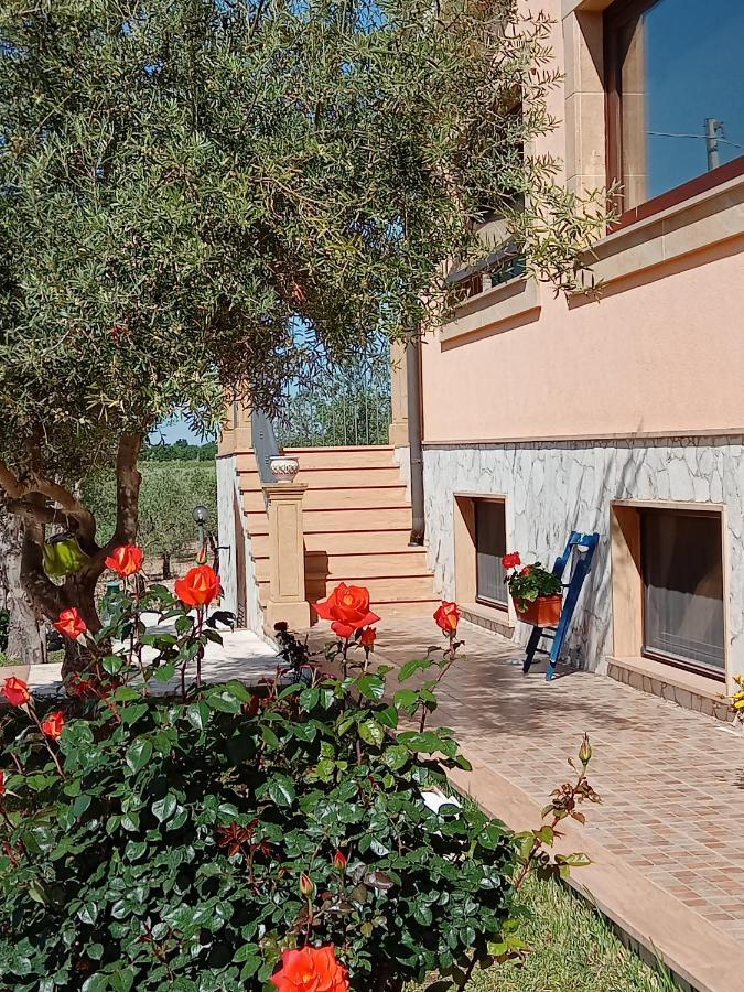 Bed & Breakfast Il Poggetto
