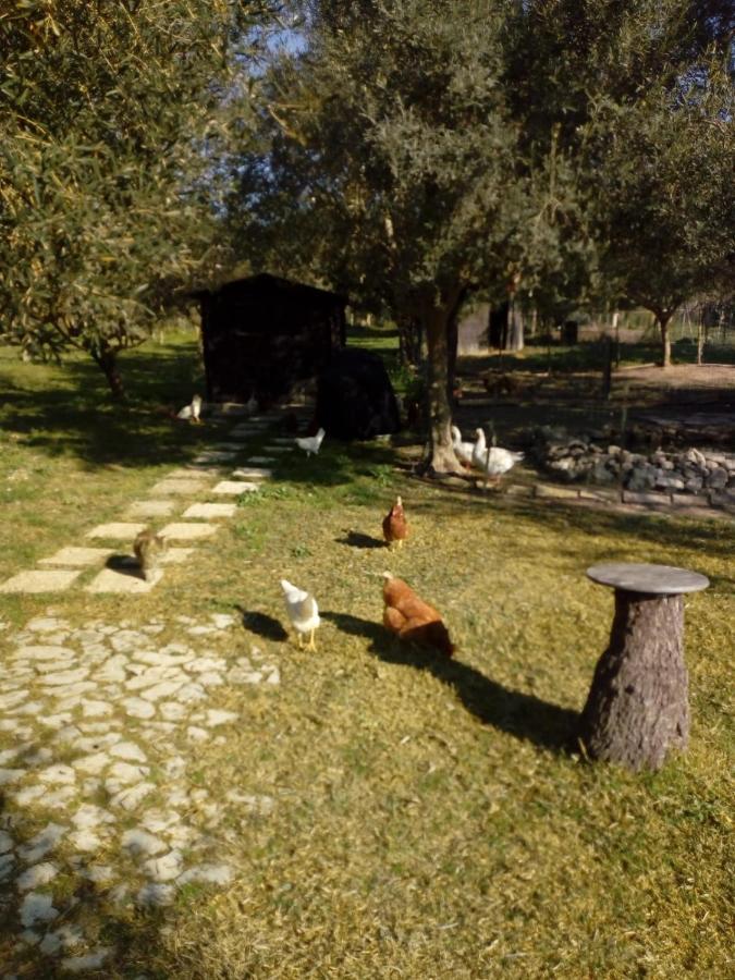 Il Poggetto * Marzamemi
